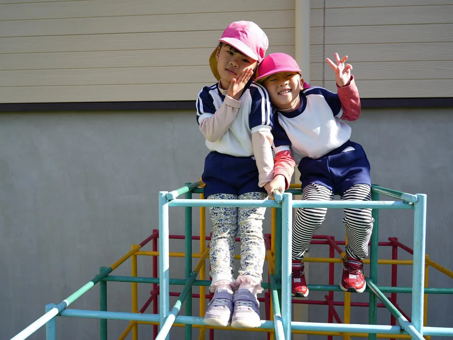 今日から園内はクリスマスの飾りつけをしてます🎄