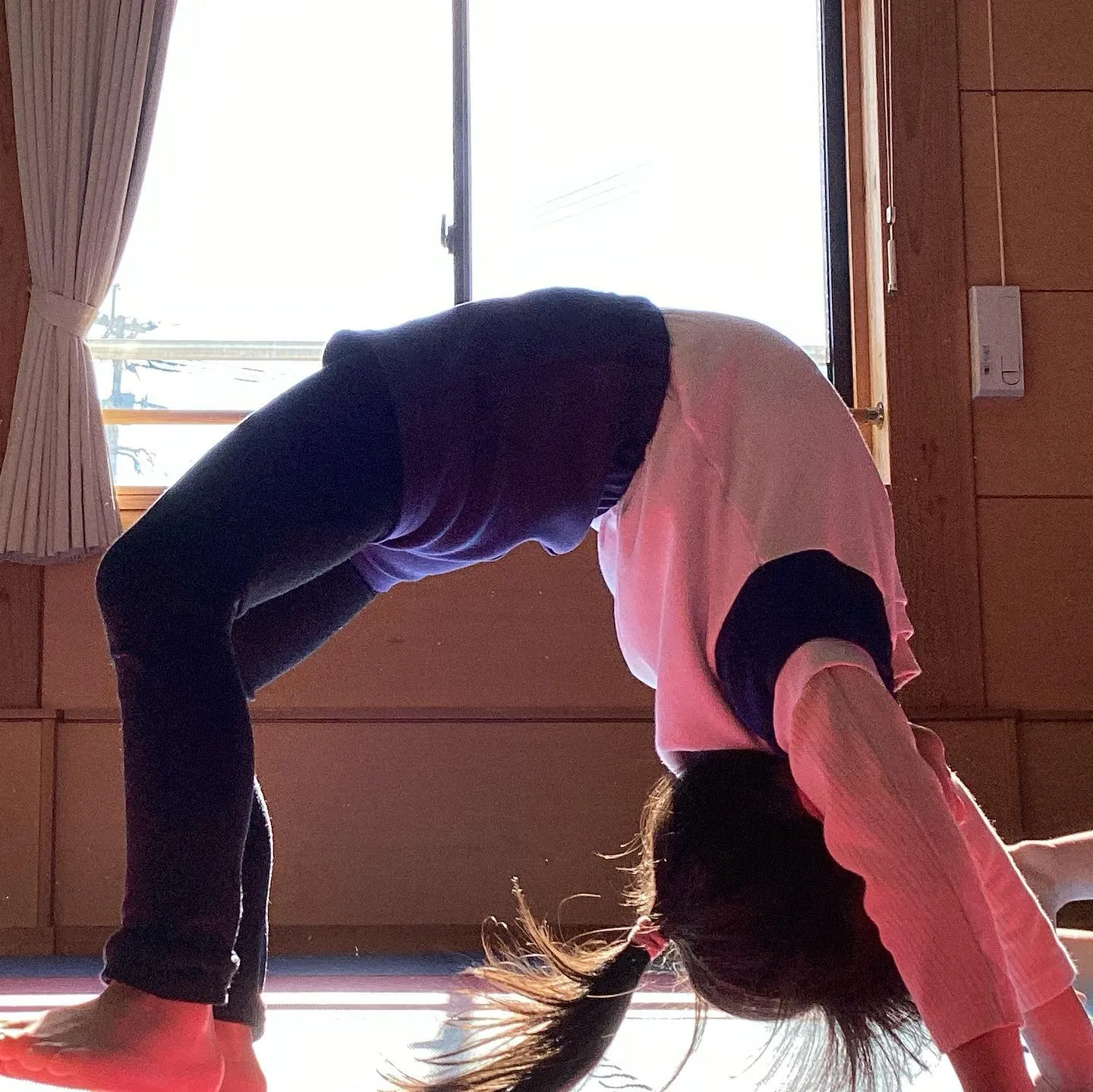 先生見て〜陽があたって気持ちいいよ〜✨