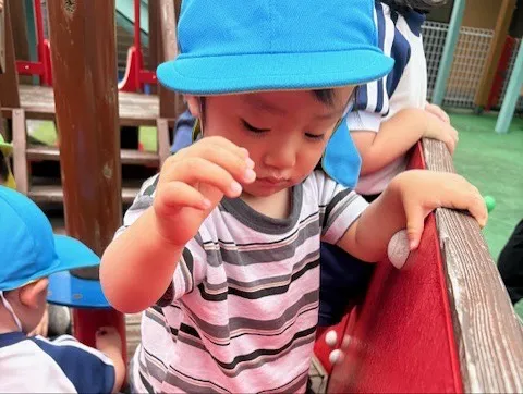 中庭で遊ぶよ〜🐥⸒⸒