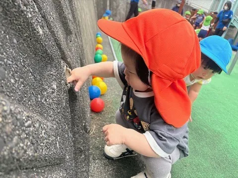 中庭で遊ぶよ〜🐥⸒⸒