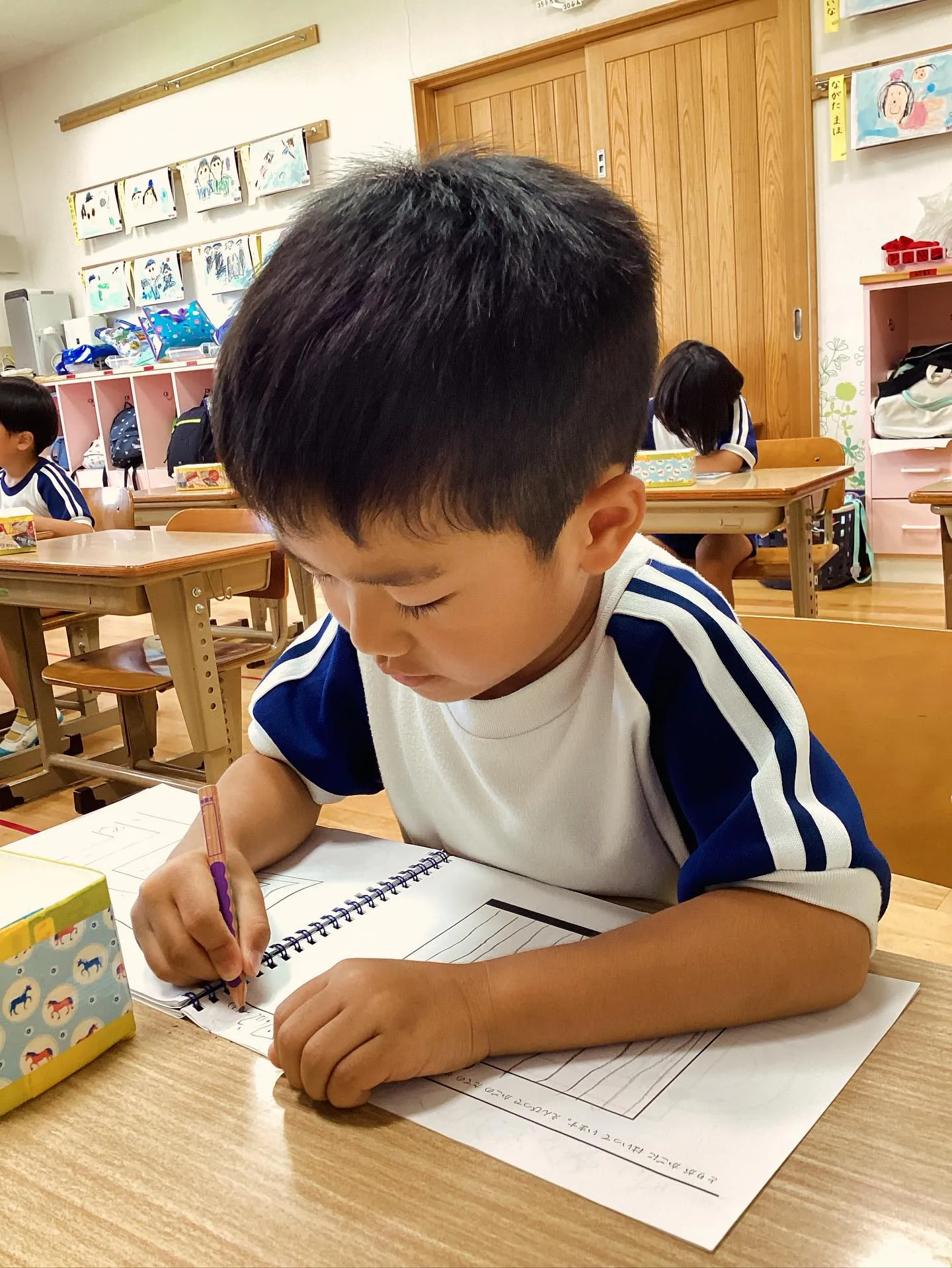 予定していた「コノハナノミズバ」が雨と雷注意報により延期とな...