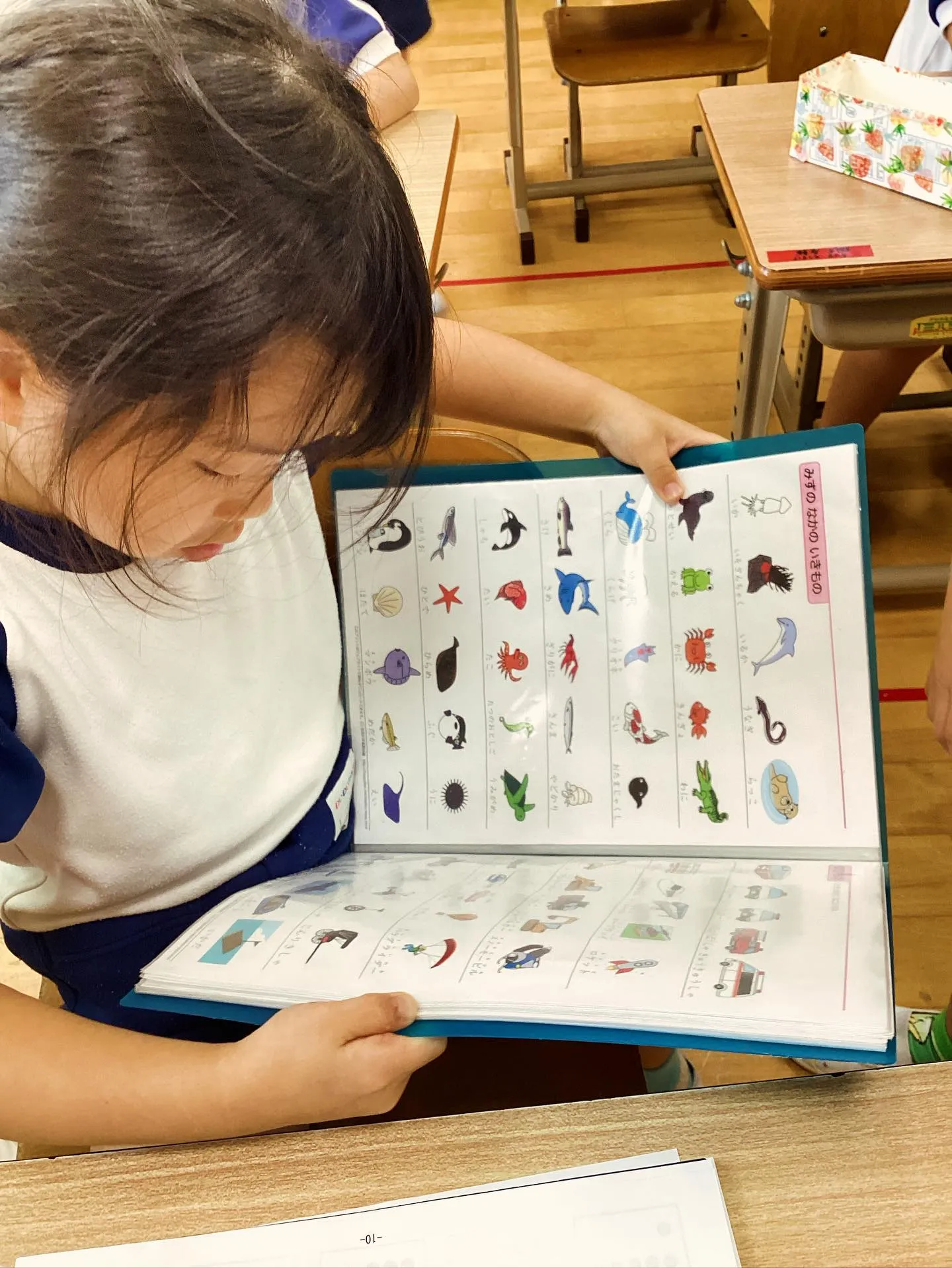 予定していた「コノハナノミズバ」が雨と雷注意報により延期とな...