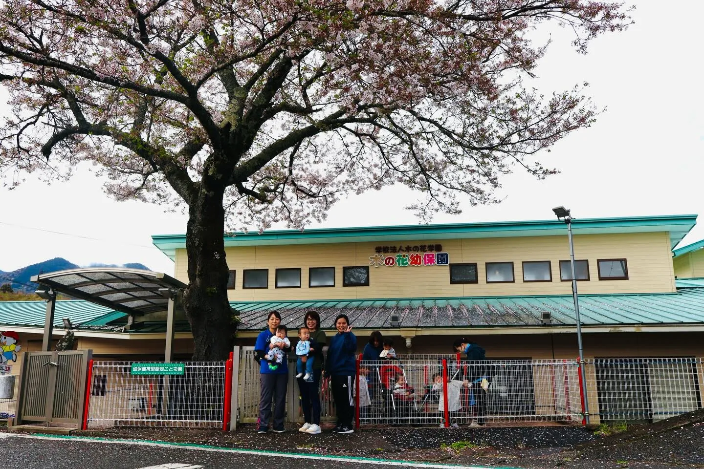 桜と未満児さん🌸👶🏻✨