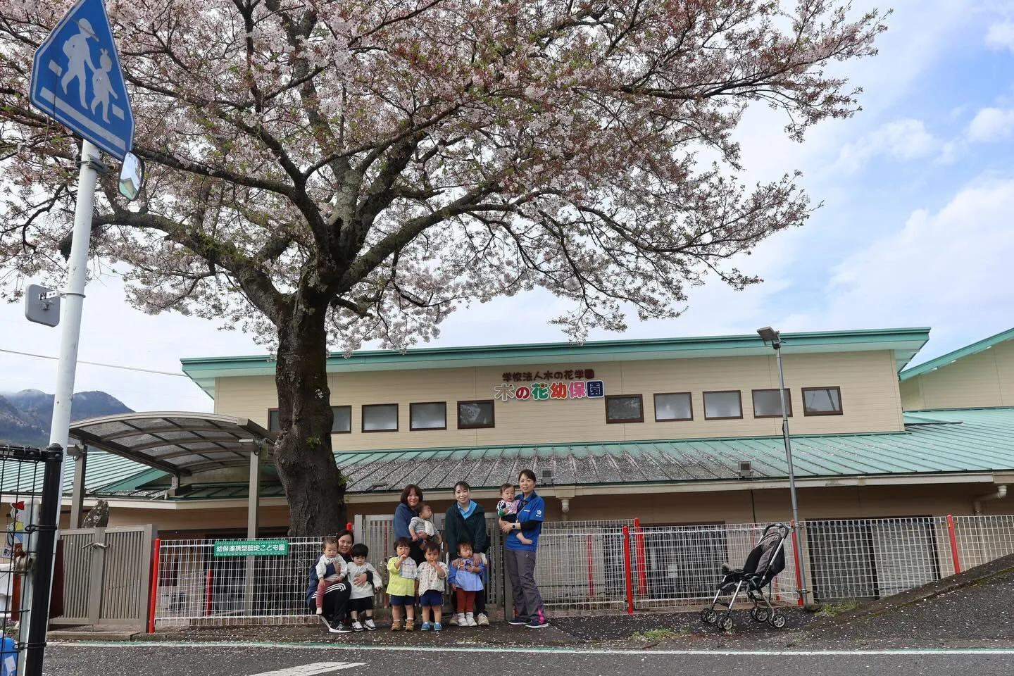 桜と未満児さん🌸👶🏻✨