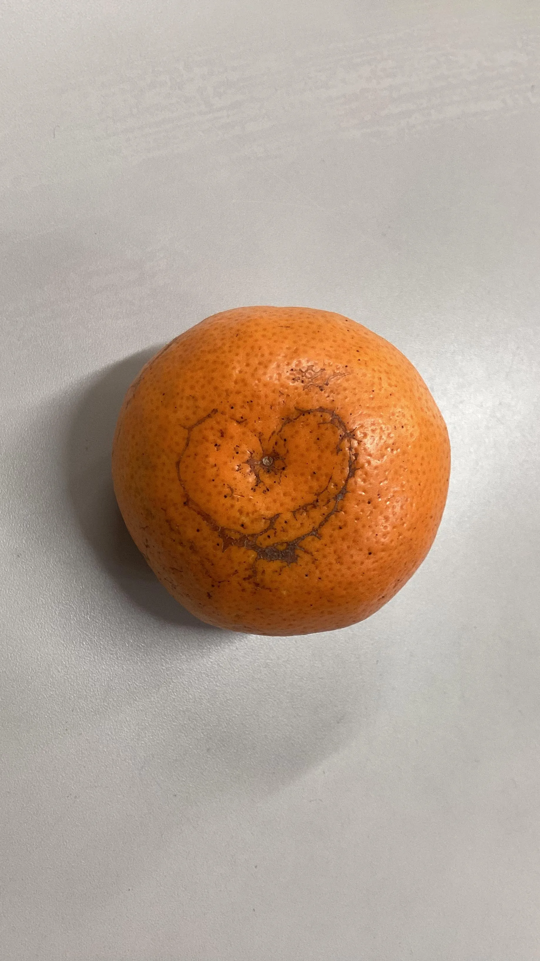 みかんをいただきました(*˘͈ ˘͈ ∩🍊∩‎ ‎