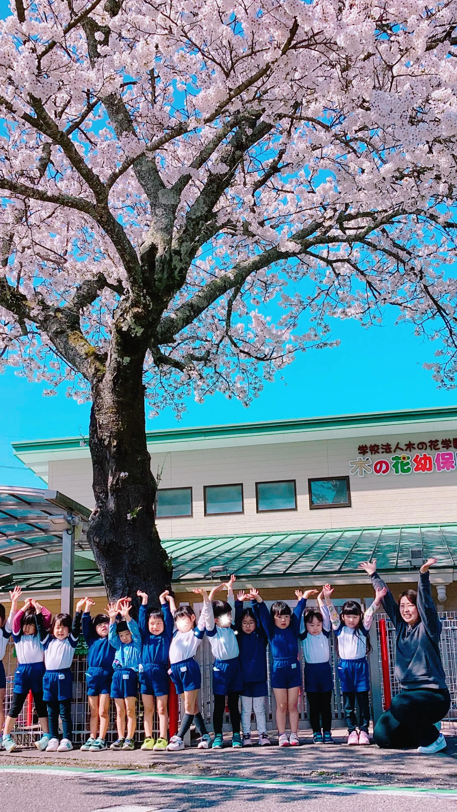 満開の桜の下で元気に遊ぶ子ども達🌸🐥⸒⸒
