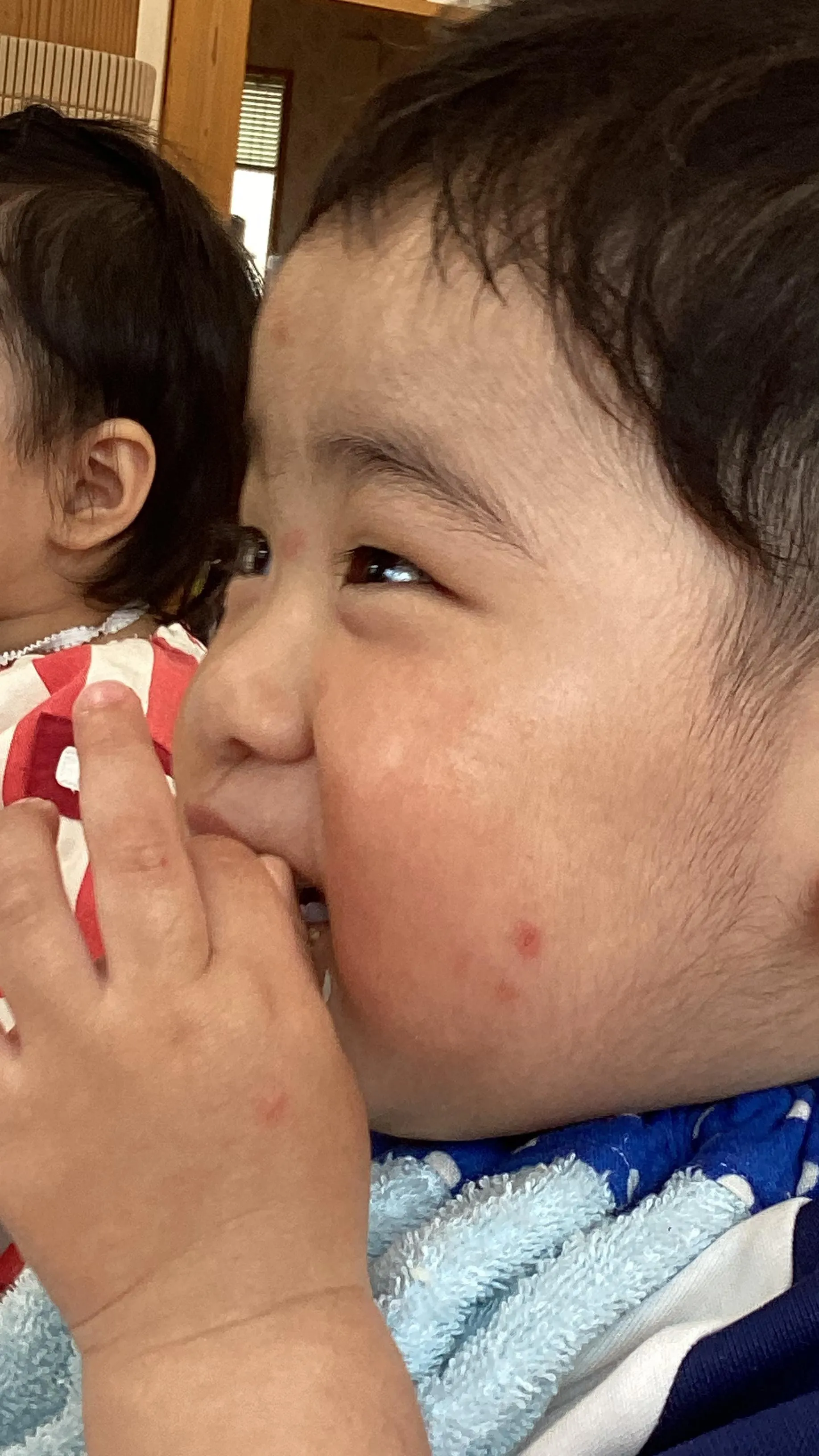 今日もモリモリ食べたよ➰😋
