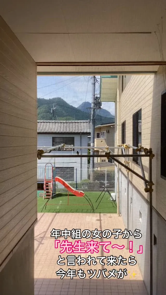 かわいい捉え方☺️