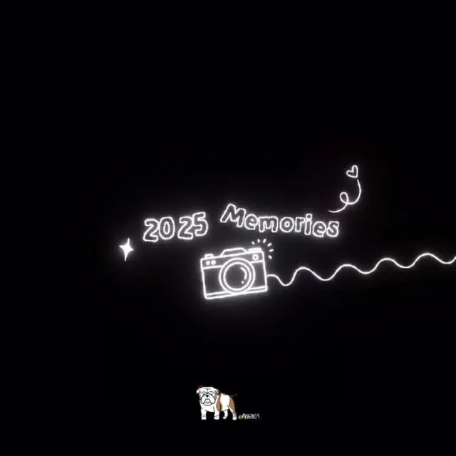 🔆晴れの日☘️*｡°