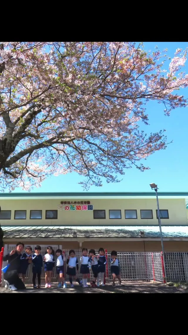 ひまわり組さんと桜🌸