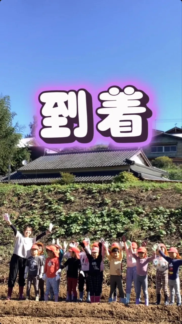 お芋掘り(以上児Ver.)